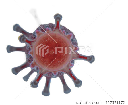 spherical spiral virus on the alpha isolated transparent background 117571172