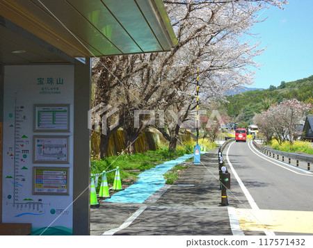 日田彥山線 BRT 細鬚山站 福岡縣朝倉區東豐村櫻花巴士站 日田彥山線 BRT 細鬚山站 福岡縣朝倉區東豐村櫻花巴士站 117571432