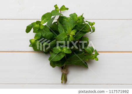 Mint leaf. Fresh mint on Colored background. Mint leaves isolated Top view with copy space 117571992