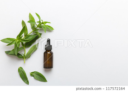 Natural Mint Essential Oil in a Glass Bottle. organic cosmetics with herbal extracts of mint on colored background Natural Mint Essential Oil in a Glass Bottle. organic cosmetics with herbal extracts of mint on colored background 117572164