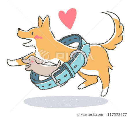 Rules to protect your dog and those around you Rules to protect your dog and those around you 117572577