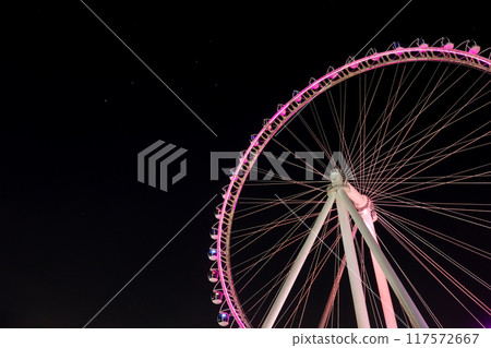 Sao Paulo, Brazil 117572667