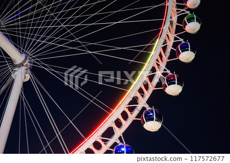 Sao Paulo, Brazil Sao Paulo, Brazil 117572677