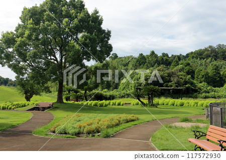 Ichihara SA（上） 117572930