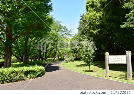 藤澤市大城跡公園步道、新綠、資訊板 117572985