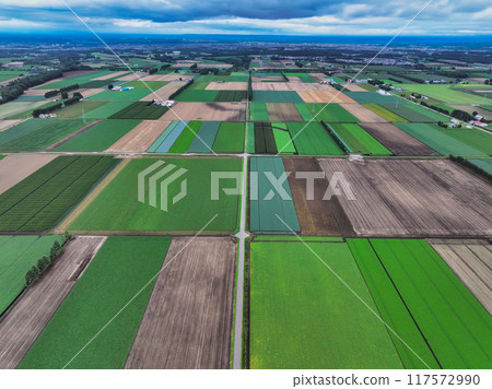 十勝平原 117572990