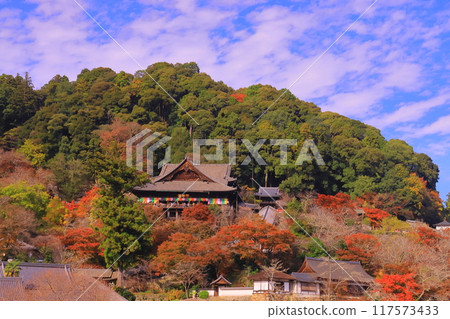 Autumn leaves around the main hall of Hasedera Temple (Sakurai City, Nara Prefecture) 117573433