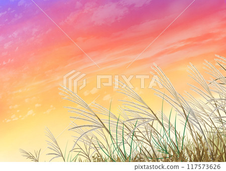 秋季風景與潘帕斯草與日落 117573626