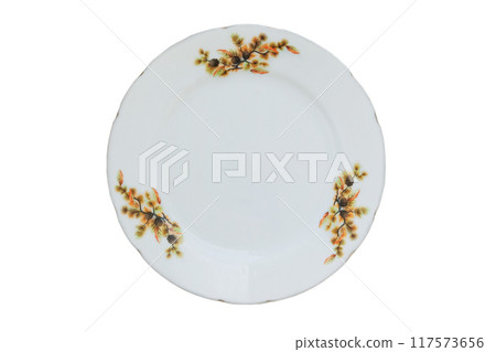 Plate with a pine pattern isolated on a white background. Porcelain tableware. Top view. Plate with a pine pattern isolated on a white background. Porcelain tableware. Top view. 117573656