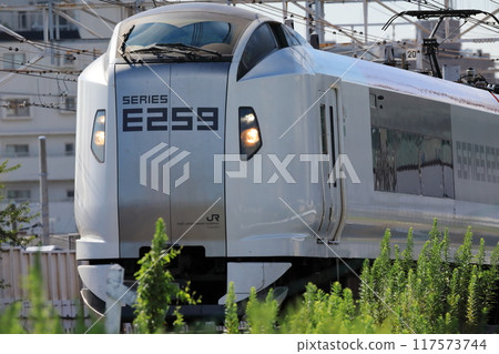 Narita Express Narita Express 117573744