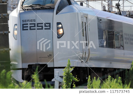 Narita Express Narita Express 117573745