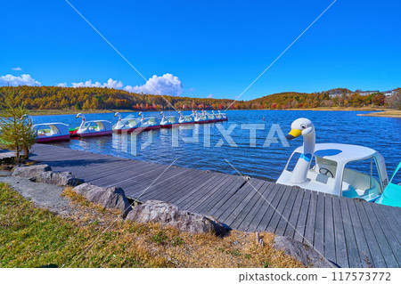 Autumn view from the south shore of Lake Megami in Tateshina Town, Nagano Prefecture 117573772