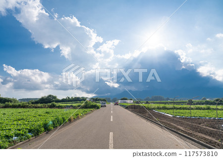[長野縣] 夏日天空中的野邊山高原、雷雨雲和生菜田 117573810