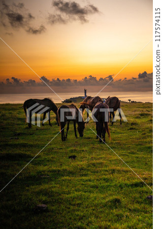 與那國島的早晨風景 117574115