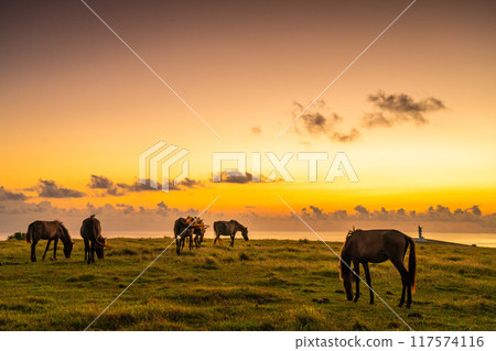 Dramatic morning scenery on Yonaguni Island 117574116