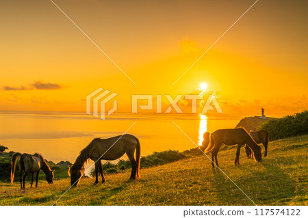 Morning scenery of Yonaguni with the sun rising Morning scenery of Yonaguni with the sun rising 117574122