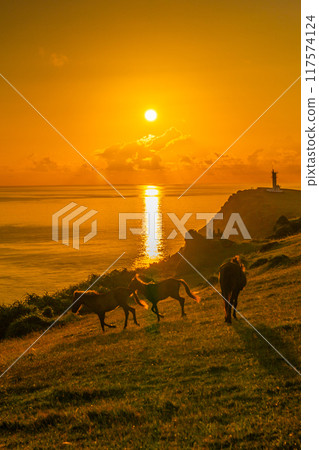 Morning scenery of Yonaguni with the sun rising Morning scenery of Yonaguni with the sun rising 117574124
