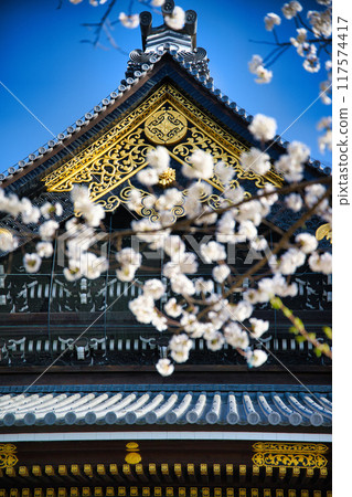 Cherry blossoms and Higashi Honganji Spring 2022 117574417