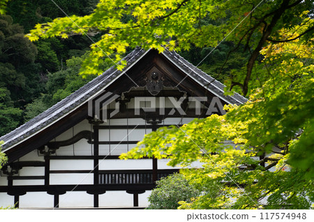 綠樹成蔭的南禪寺國寶北條 117574948