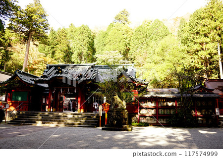 Hakone Shrine Hakone Shrine 117574999