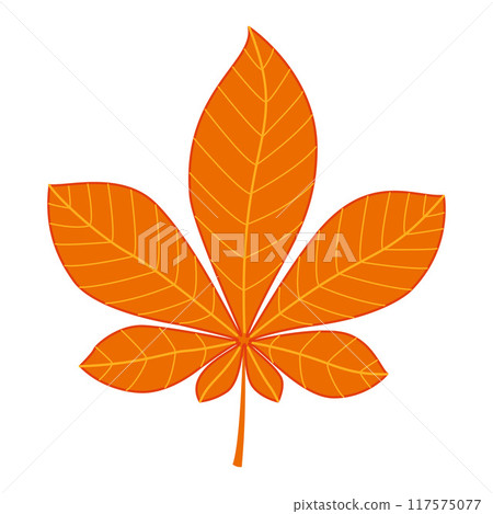 Autumn chestnut leaf. Hand drawn trendy flat style isolated  117575077