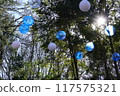 A ball is floating in the woods 117575321