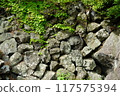 A place like a castle wall 117575394