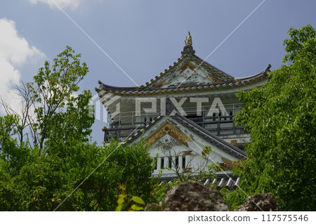 岐阜城被綠意環繞 117575546