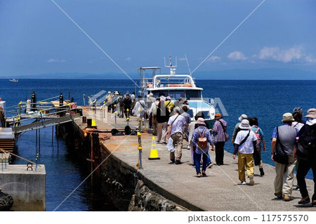 Landing on a remote island Landing on a remote island 117575570