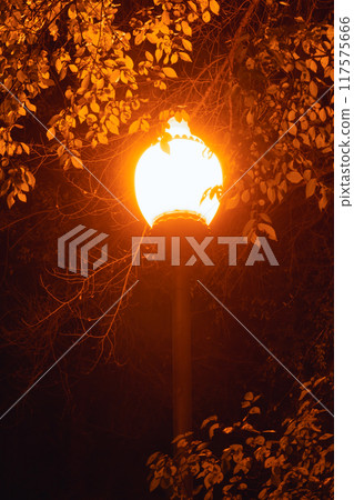 Glowing in the dark city lamp Glowing in the dark city lamp 117575666