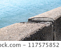 Cracked concrete wall on the beach 117575852