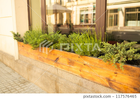 Outdoor cafe with potted plants. 117576465