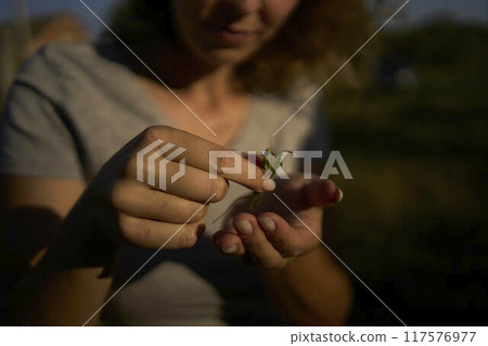 a woman holds a large grasshopper on her hand 117576977