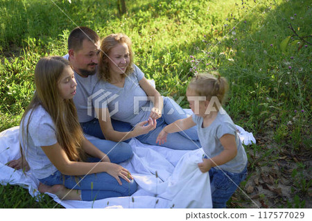 a family of four on a picnic in the park a family of four on a picnic in the park 117577029