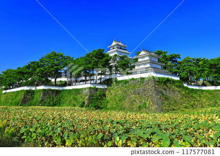 [長崎縣] 島原城天守閣的晴空（修復後） 117577081