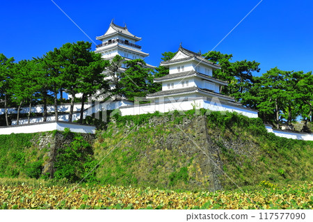 [長崎縣] 島原城天守閣的晴空（修復後） 117577090