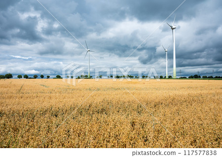 Golden wehat fields and energy generation by wind mills at the German countryside, Bredenau, Lower Saxony, Germany 117577838