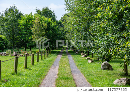 Dirty road through orchards at the German countryside around Heidenau, Germany Dirty road through orchards at the German countryside around Heidenau, Germany 117577865