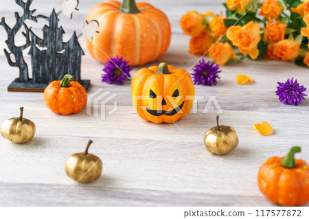 萬聖節彩色花朵、南瓜和南瓜燈 117577872