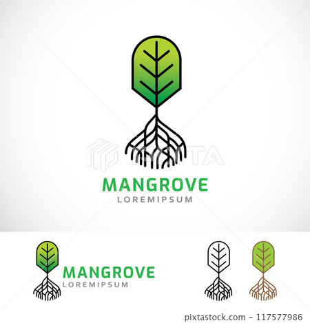 Mangrove Trees Logo Design Template 117577986