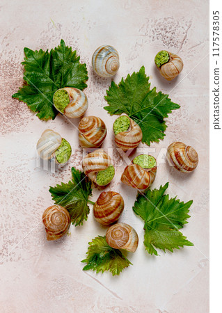 snails stuffed in Burgundy, top view, with grape leaves, French cuisine, no people, snails stuffed in Burgundy, top view, with grape leaves, French cuisine, no people, 117578305