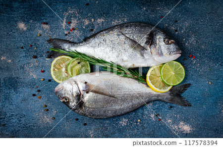 fresh, raw dorado fish, on a dark blue background, top view, two pieces, no people, fresh, raw dorado fish, on a dark blue background, top view, two pieces, no people, 117578394