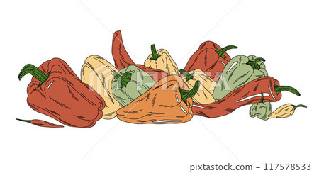 composition of bright vegetables and hot peppers in flat style isolated on white background composition of bright vegetables and hot peppers in flat style isolated on white background 117578533