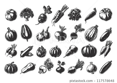 Various Vegetables Vintage Retro Engraving Style Icons Set Detailed Vegetable Illustrations Neat Thick Strokes Classic Produce Designs Black on White Background 117578648