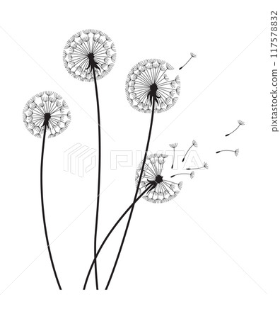 Dandelion wind blow background. Black silhouette with flying dandelion buds on white. Abstract flying blow dandelion seeds. Decorative graphics for printing. Floral scene design Dandelion wind blow background. Black silhouette with flying dandelion buds on white. Abstract flying blow dandelion seeds. Decorative graphics for printing. Floral scene design 117578832