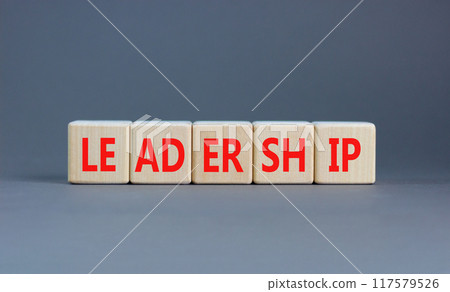 Leadership symbol. Concept word Leadership on beautiful wooden blocks. Beautiful grey background. Business leadership concept. Copy space. Leadership symbol. Concept word Leadership on beautiful wooden blocks. Beautiful grey background. Business leadership concept. Copy space. 117579526