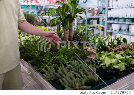 Portrait of smiling young bearded man in green t shirt holding while choosing plants in home goods store. Plant, nature, shopping concept 117579793