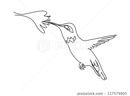 Hummingbird. One line drawing vector illustration. 117579905