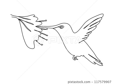 Hummingbird. One line drawing vector illustration. 117579907