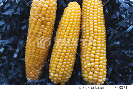 Three hard corn cobs on black shavings stock photo Three hard corn cobs on black shavings stock photo 117580211